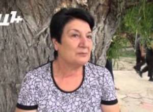 Տուրիստները դժգոհ են Դիլիջանի աղտոտվածությունից