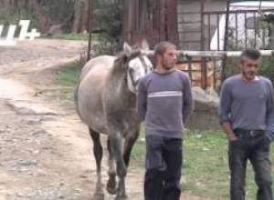 «Գոյատևում ենք, կարճ ասած»