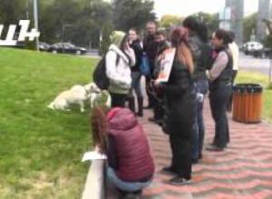 Երեխաները խաղում են տարածքում, որտեղ թաղված են շների ոսկորներ