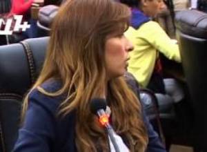 «Շնորհակալություն, հորանց տան թեման անցնենք»