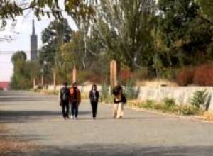 «Հաղթանակ» զբոսայգին առանց ծառերի՞ կմնա