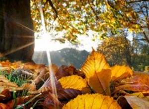 Եղանակը կտաքանա