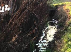 Գյուղացին չի կարող մարել վարկերը  բերք ու բարիքի հաշվին