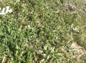 Աղմուկ և վիճաբանություն մարզահամերգային համալիրի տարածքում