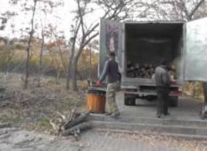 Հերթական շինություն, թե ծառահատում Ծիծեռնակաբերդի տարածքում