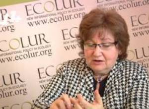 «Խոշոր բիզնեսը մտավ, անտառում ոչ մեկի չի թողնի». բնապահպան