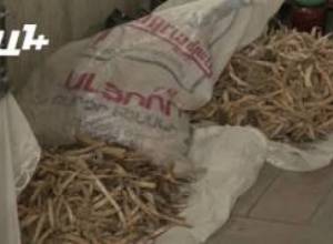 Վարկեր, քամի, սնունդ...ինչ անի բազմազավակ ընտանիքը