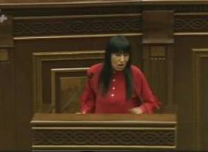 Հերթական կարուձևը տեղի ունեցավ հերթական խումբ մարդկանց վրա. Նաիրա Զոհրաբյանի ելույթը