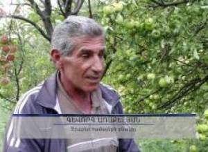 Բերքից գոհ չեն