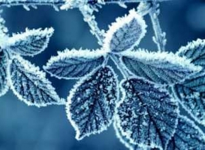 В Армению проникают арктические холодные воздушные потоки, ожидаются обильные осадки в виде снега: Гагик Суренян