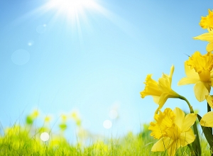 Weather forecast for upcoming 5 days