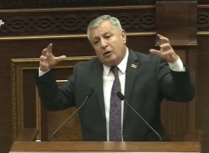 Այդ ոսկե ձվերը նեխելու են, ճուտ չեն հանելու.ԲՀԿ պատգամավոր