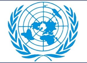 Мовсес Абелян назначен заместителем генерального секретаря ООН