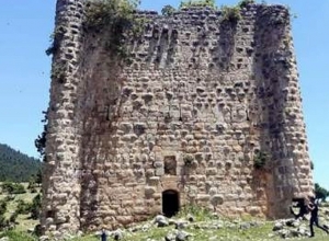 В Турции требуют восстановить полуразрушенный Киликийский армянский дворец-крепость