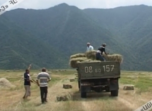 Գյուղերում խոտի պակաս կա