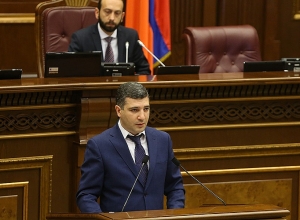 ՏՄՊՊՀ-ի անդամի թեկնածուն դեմ չէ, որ գերիշխող դիրք ունեցող կազմակերպություններ լինեն