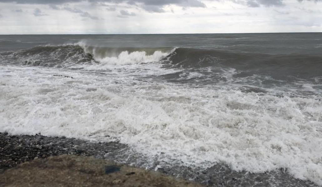 65503391_1420065658136039_1815697304124915712_n