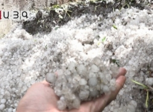 Через 20 дней должны были собрать – град унес зерновые