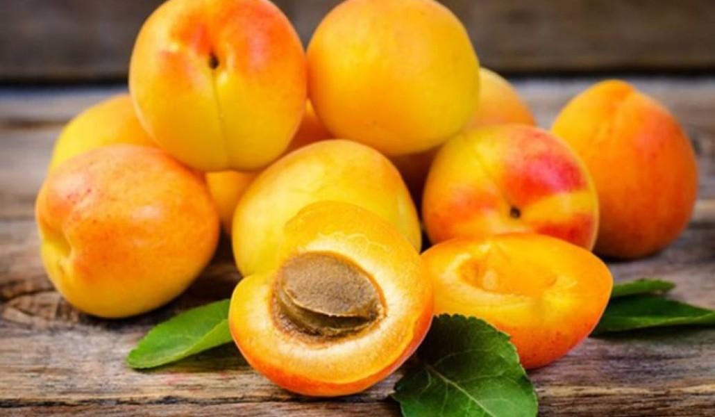 66163965_1073869752824324_2583922908766142464_n