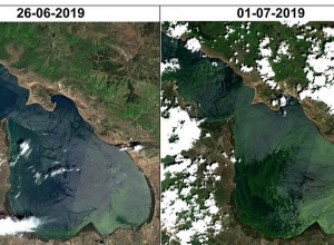 Որոնք են Սևանա լճի ծաղկման հիմնական պատճառներն ըստ մասնագետների. econews.am