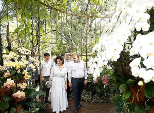 В честь Никола Пашиняна и Анны Акопян в Сингапуре назвали цветок