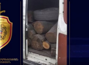 Раскрыт случай незаконного сруба деревьев