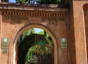 Հրդեհ Երևանի բուսաբանական այգում