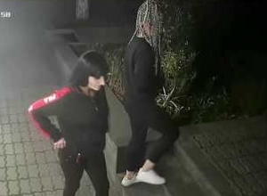 Трое женщин украли пять экзотических деревьев