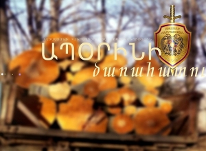 Ապօրինի ծառահատում Լոռիում