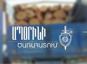 Փայտանյութով բեռնատարը հայտնաբերվեց