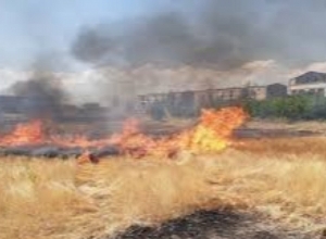 Այրվել է 35 հակ անասնակեր