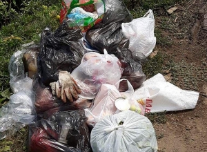 Սիբիրախտով վարակված է եղել մեկ կենդանի