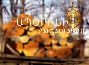 Ապօրինի ծառահատման դեպք են բացահայտել