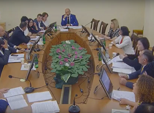 Проходит заседание постоянной комиссии НС по вопросам здравоохранения и социальным вопросам: прямой эфир