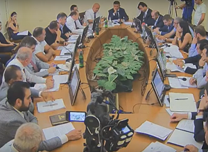 Прямой эфир: Заседание постоянной комиссии НС по экономическим вопросам