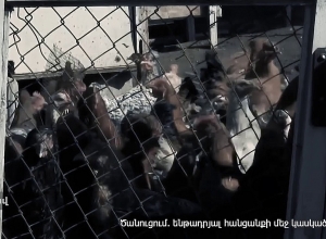 Ոստիկանները բացահայտել են21 տարի առաջ  13 հավի գողության դեպքը