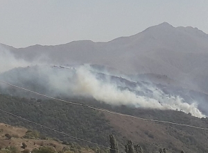 Հրդեհ Սյունիքի մարզում․ լուսանկարներ