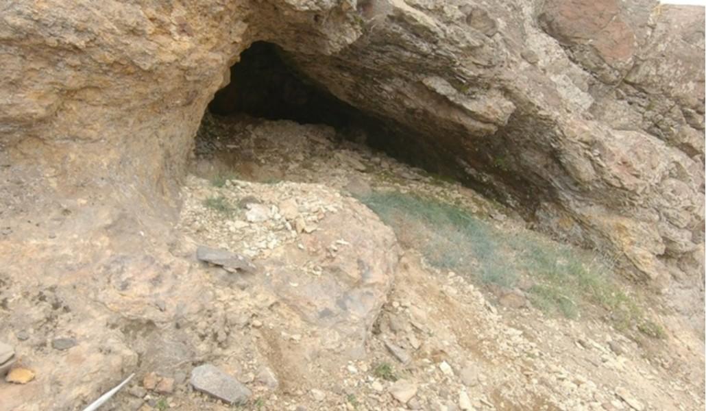 արջի որջ
