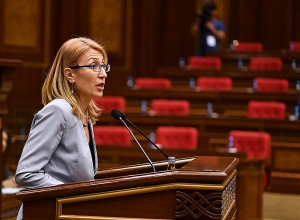 Մանե Թանդիլյանի դժգոհությունները 2020թ․ պետական բյուջեից