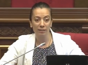 Кристине Погосян не понимает, почему Андраник Кочарян должен извиниться перед Арпине Ованнисян