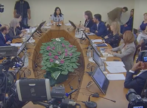 Заседание постоянной комиссии по защите прав человека и общественным вопросам: прямой эфир