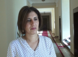 Я уважаю мнение Венецианской комиссии, но принимать или нет – решать нам: депутат о Стамбульской конвенции