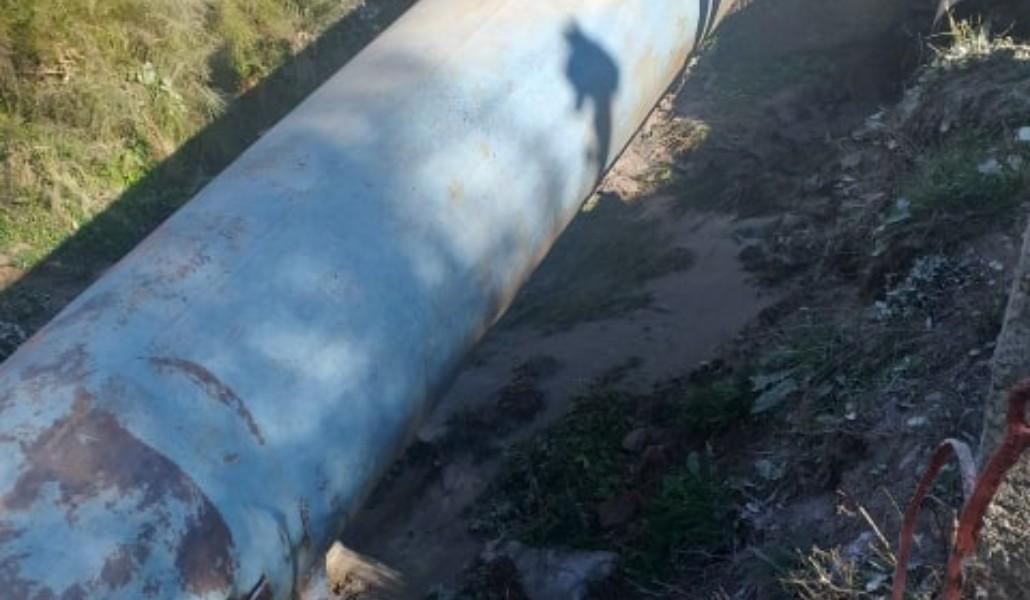 72486786_2416431301941465_7571685841408360448_n