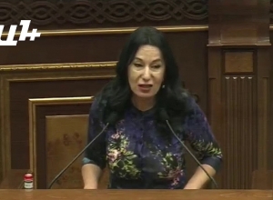 Կենդանիների նկատմամբ դաժան վերաբերմունքը կքրեականացվի. ԱԺ-ն ընդունեց ԲՀԿ-ի նախագիծը