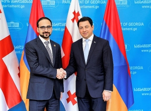 Авинян представил председателю парламента Грузии приоритеты экономической политики РА