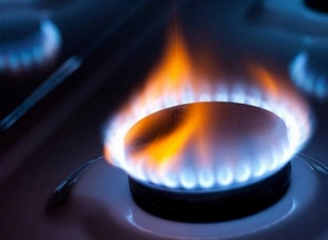 Решение будет союзническим: Никол Пашинян о переговорах по цене на газ