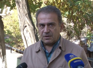 «Այգին պետք է ցանկապատվի»․ ինչպե՞ս են թափառող շները հարձակվել Կենդանաբանական այգու կենգուրուների վրա