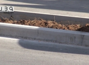 Cows forbidden to cross newly repaired street