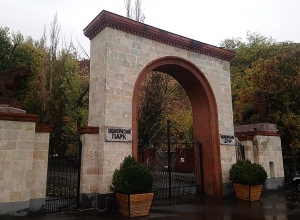 Ակցիա` Կենդանաբանական այգու դիմաց. Ռուբեն Խաչատրյանից պահանջում են վերադարձնել մորուքավոր անգղերին․ լուսանկարներ