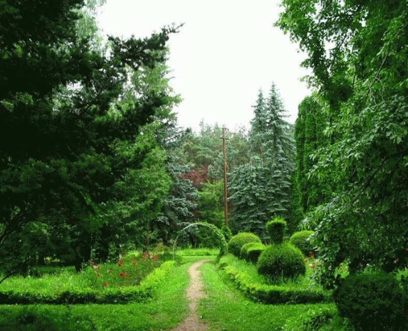 Նոր ճանապարհը նոր հյուրեր է բերելու Գյուլագարակի դենդրոպարկ.